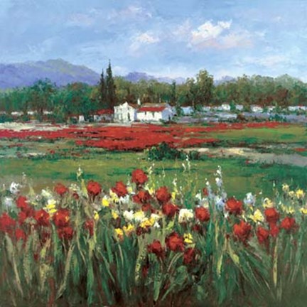 Framed Red Flower Field Print