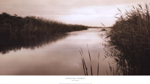 Framed River Reeds Print