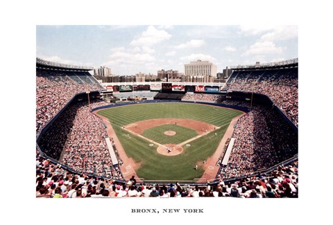 Framed Bronx, New York Print
