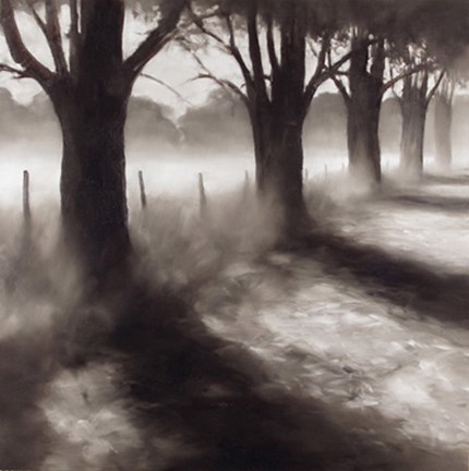 Framed Path by Field Print