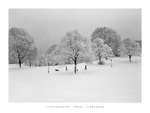 Framed Prospect Park Trees Print