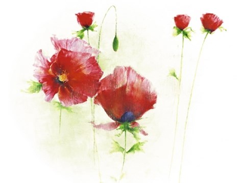 Framed Red Poppies I Print