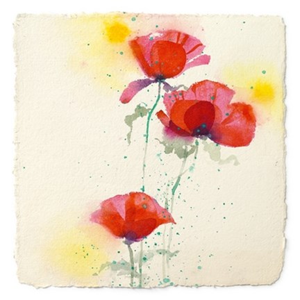 Framed Papaveri II Print