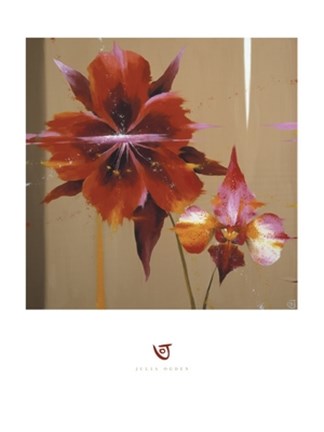 Framed Orchid &amp; Corn Poppy Print
