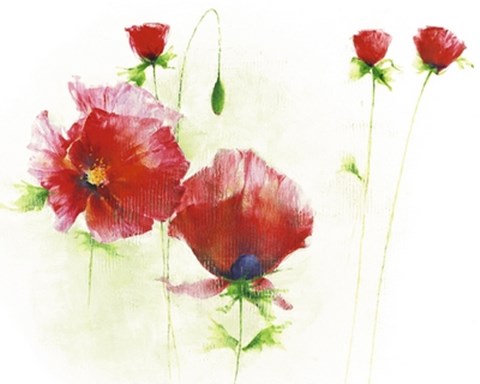 Framed Red Poppies I Print