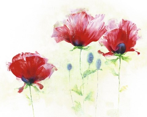 Framed Red Poppies II Print