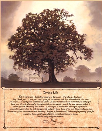 Framed Living Life Print