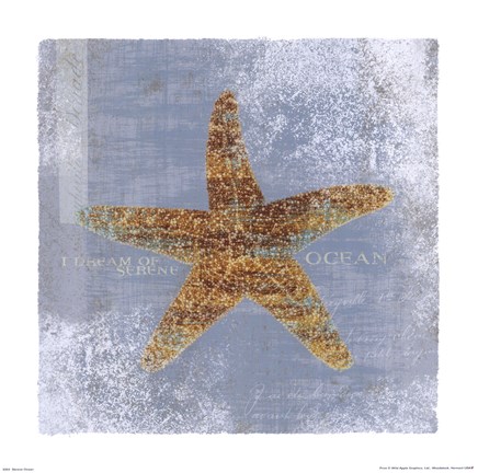Framed Serene Ocean Print