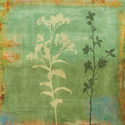 Framed Eco-friendly II Print