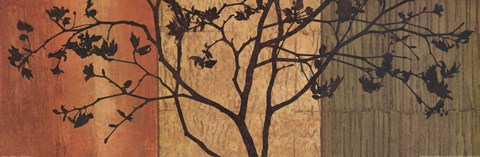 Framed Arboreal II Print