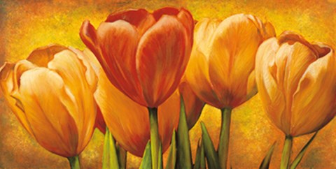 Framed Bouquet of orange tulips Print