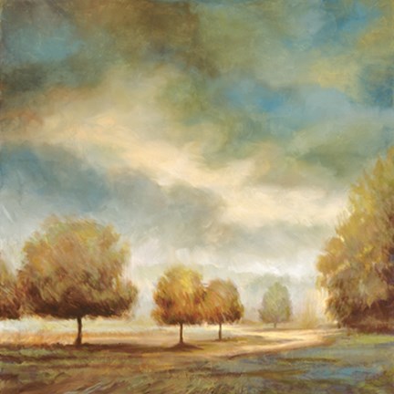 Framed Light and Shadows II Print