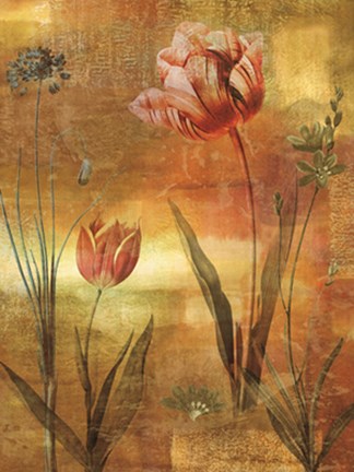 Framed Tulip Garden II Print