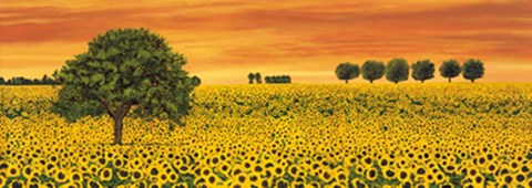 Framed Field of Sunflowers Print