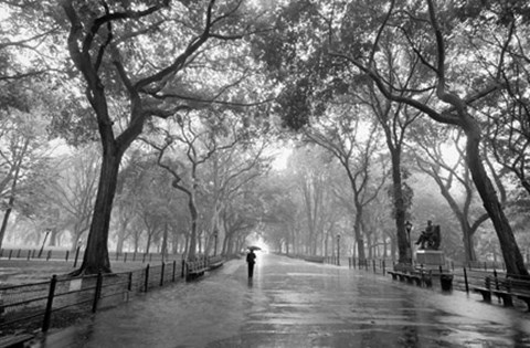 Framed Poet's Walk, New York City Print
