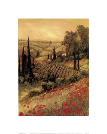 Framed Toscano Valley I Print