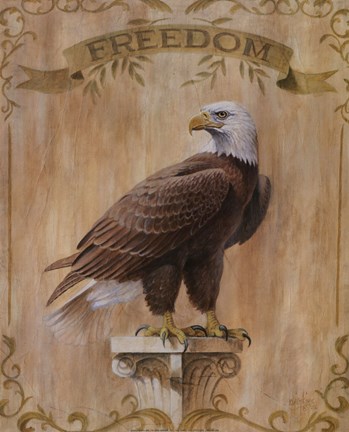 Framed Eagle Freedom Print