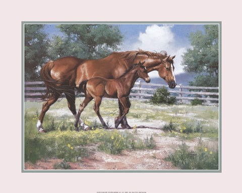 Framed Horse and Colt Print