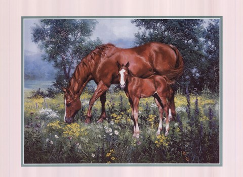 Framed Horse and Foal Print