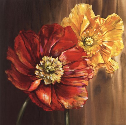 Framed Poppies - square Print