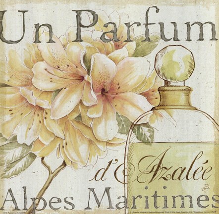 Framed Fleurs and Parfum III Print