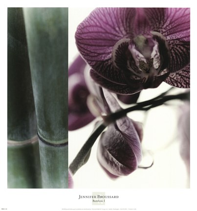 Framed Bamboo I (Flower I) Print