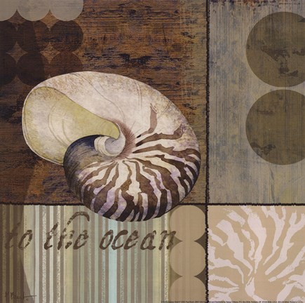 Framed Contemporary Shell II Print