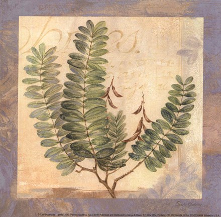 Framed Leaf Botanicals I - petite Print