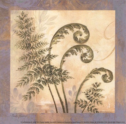 Framed Leaf Botanicals III - petite Print