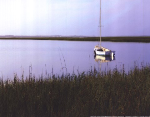 Framed Serene Morning I Print