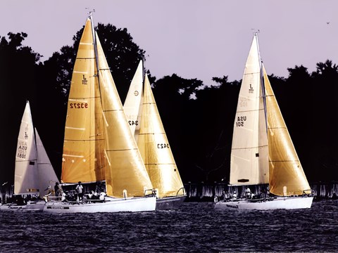 Framed Race at Annapolis II Print