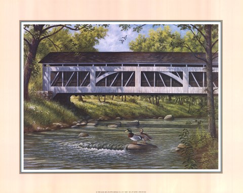 Framed Ducks on the River Print
