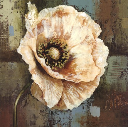 Framed Papaver II - grande Print
