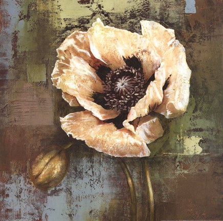 Framed Papaver I - grande Print