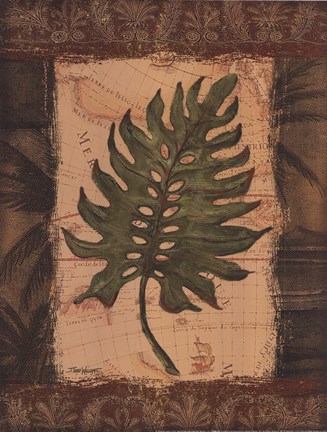 Framed Tropical Leaf II Print