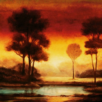 Framed Evening Light I Print