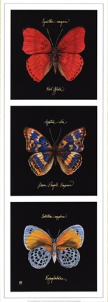 Framed Primary Butterfly Panel I Print