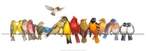 Framed Large Bird Menagerie Print