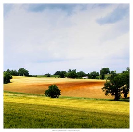 Framed Larrissingle II Print