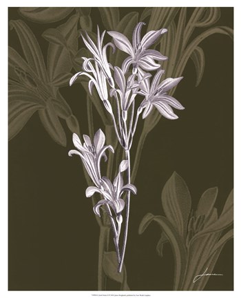 Framed Jewel Stems II Print