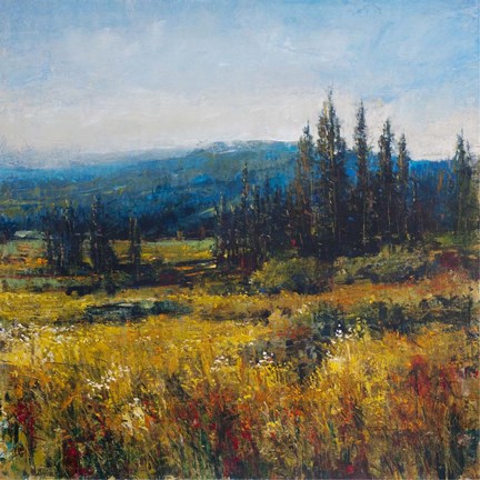 Framed Pacific Northwest I Print