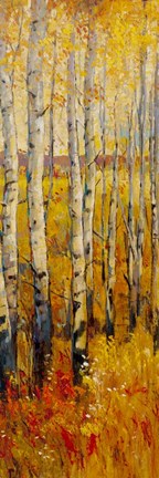 Framed Vivid Birch Forest II Print