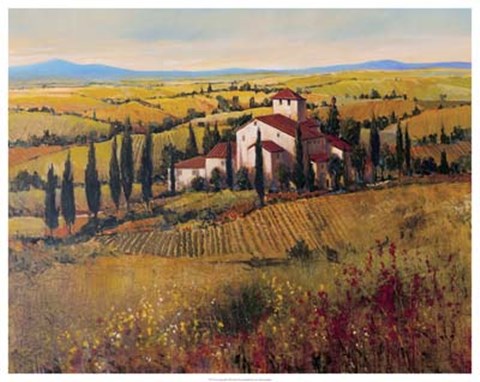 Framed Tuscany III Print