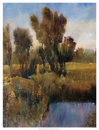 Framed Sunkissed Field I Print