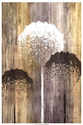 Framed Rustic Garden I Print