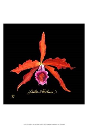 Framed Vivid Orchid II Print