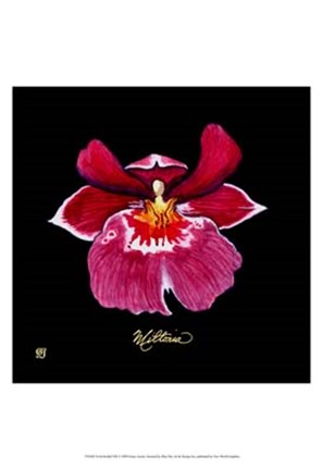 Framed Vivid Orchid VIII Print