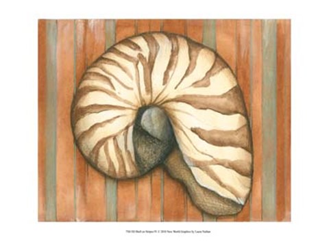 Framed Shell on Stripes IV - light Print