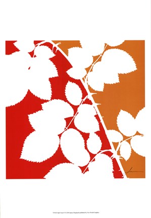 Framed Split Stem IV Print