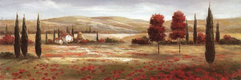Framed Tuscan Poppies II Print